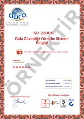 Sertifika 4